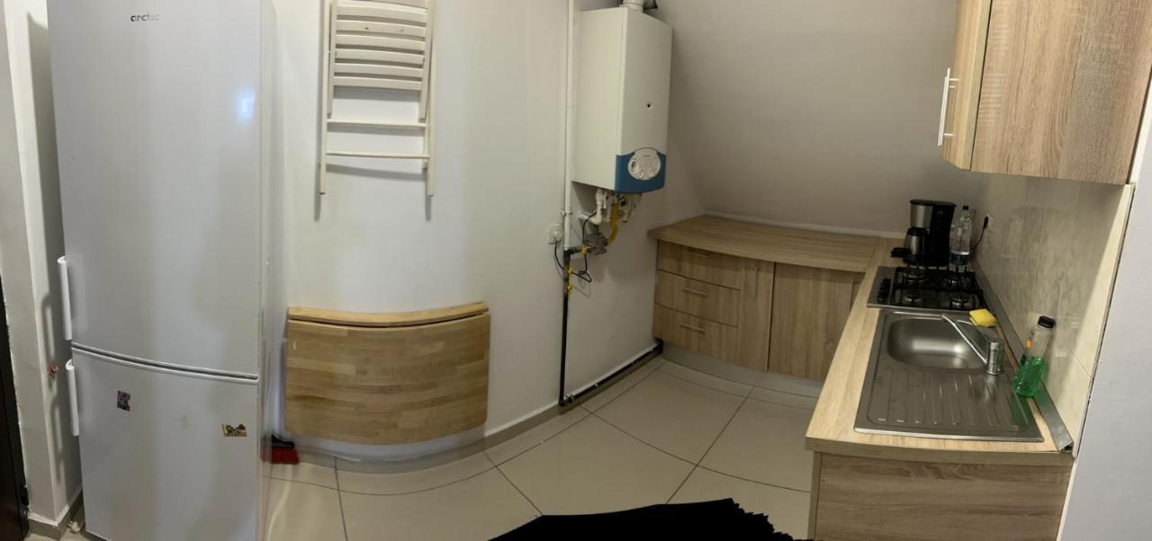 Apartamento Chez Ana Otopeni Exterior foto
